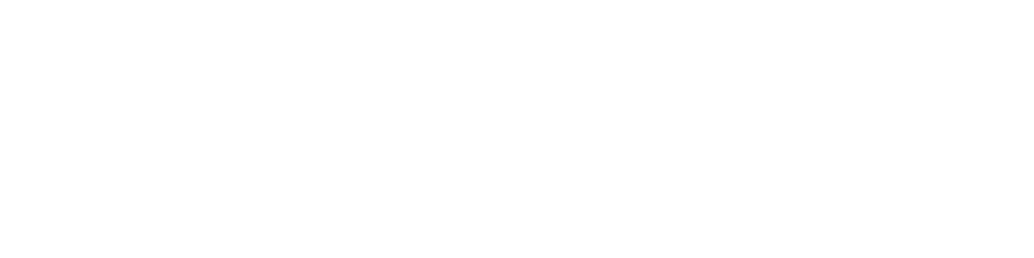 Staicey Logo